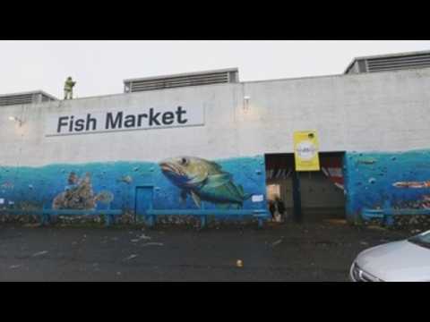 Fishing, a matter of dispute in Brexit negotiations