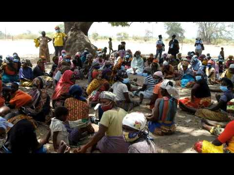 Mozambique: thousands of displaced people struggle to survive in Pemba camp