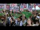 Pro-abortion demonstrators gather outside Argentina Congress