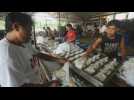 Indonesian old-school factory produces kilograms of freshly made tofu daily