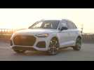 2021 Audi SQ5 Design preview