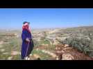 Palestinian olive growers denounce felling of more than 300 olive trees by the Israeli army