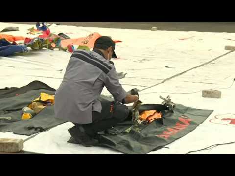 Indonesia: Officials examine debris recovered from plane crash site