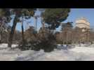 Spain's worst snowstorm in decades damages trees, sidewalks and roads