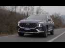 New Hyundai Santa Fe Driving video