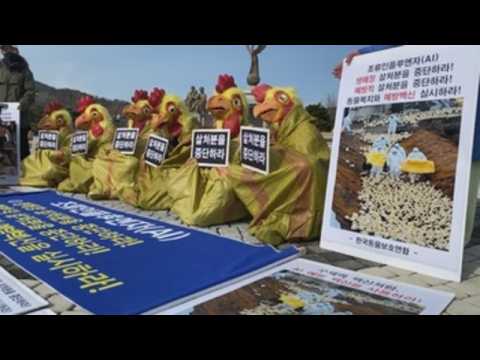 Animal rights groups in Seoul demand termination of culling