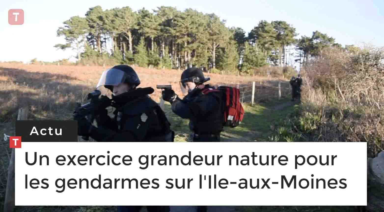 Un exercice grandeur nature pour les gendarmes sur l'Ile-aux-Moines (Le Télégramme)
