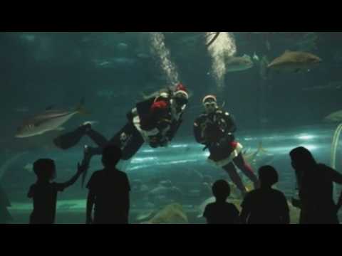 Divers dressed as Santa Claus at Rio de Janeiro's aquarium during holiday season