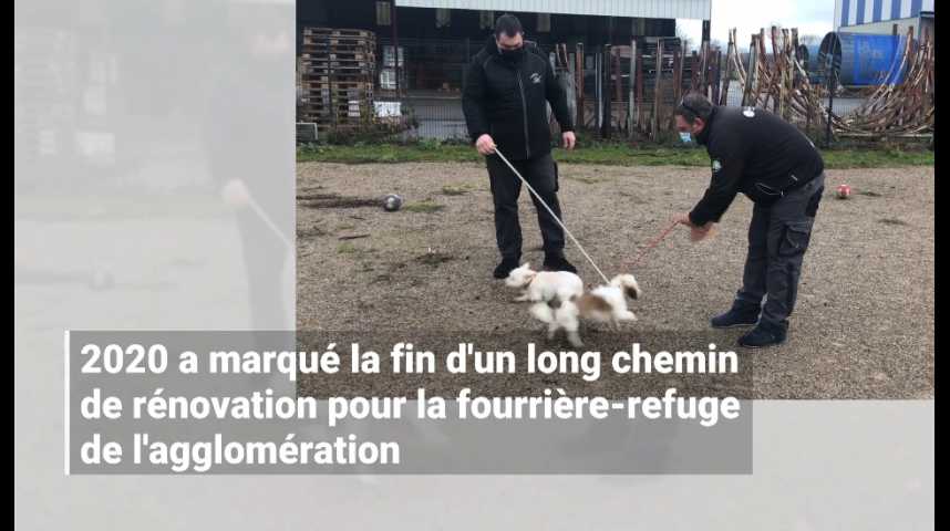 Où promener mon chien ?  Citoyen - Bruxelles Environnement