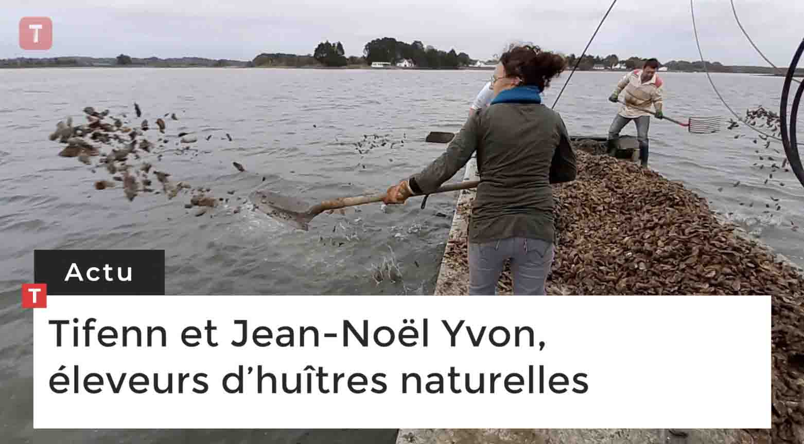 Locoal-Mendon. Tifenn et Jean-Noël Yvon, éleveurs d’huîtres naturelles (Le Télégramme)