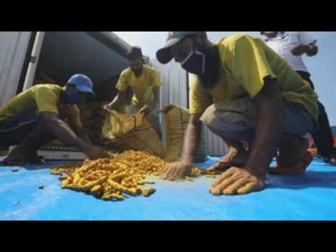 Sri Lanka Customs seized illegally imported turmeric
