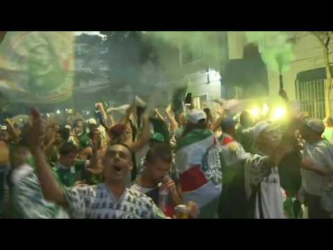 Palmeiras fans celebrate late winner in Copa Libertadores final