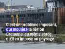 Saint-Malo : Le cargo russe Vladimir Latyshev immobilisé depuis un an #shorts