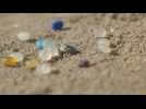 Microbilles de plastique : petite taille, gros dégâts