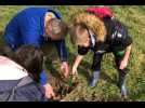 VIDEO. Des écoliers plantent une centaine d'arbres
