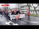 VIDÉO. Manifestations du 11 mars : le cortège défile dans les rues de Saint-Lô
