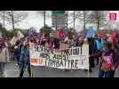 Tarn : 300 manifestantes pour la journée internationale du droit des femmes
