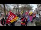 Manifestation Troyes 1