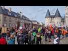 Près d'un millier de manifestants samedi 11 mars à Beauvais