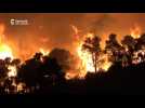 Espagne : premier feu de forêt majeur de la saison, déjà 4 000 hectares brûlés
