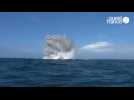VIDEO. Le Groupe de plongeurs démineurs de l'Atlantique neutralise un engin explosif en baie de Saint-Malo