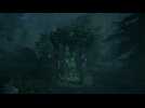 Vido Hogwarts Legacy : L'Hritage de Poudlard - preuves de Merlin du Marais de North Ford