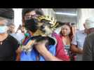 Au Nicaragua, des maîtres prient Saint Lazare pour protéger leur chien