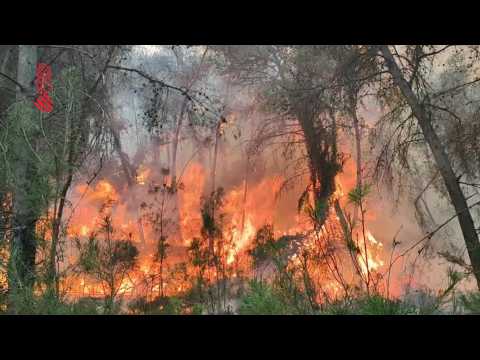 Spain firefighters make progress in battling first major wildfire of 2023