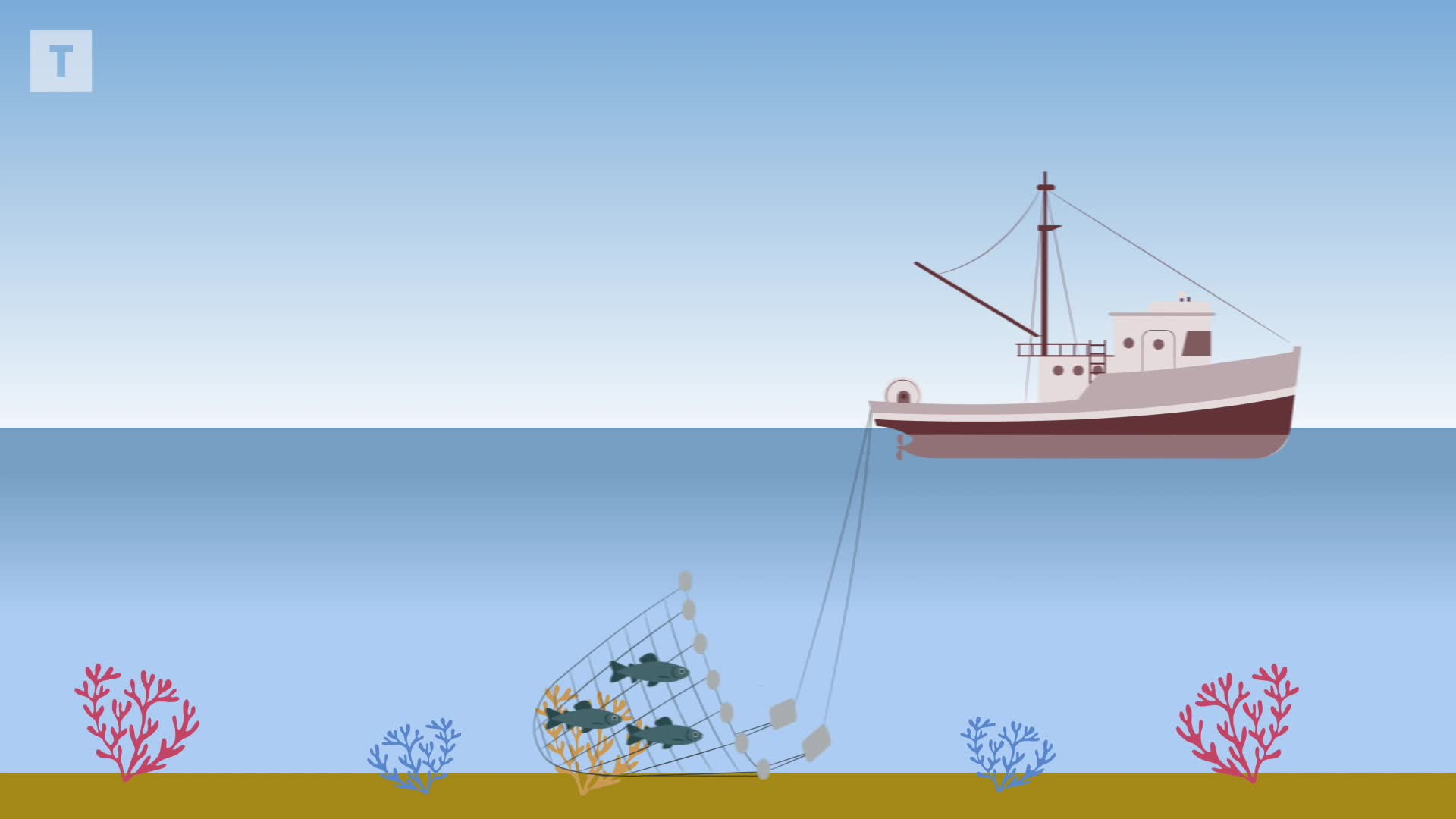 Notre vidéo pour tout comprendre de la crise des pêcheurs (Le Télégramme)