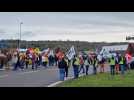 manif cfdt fo sud dieppe; manif interface dieppe; manif interface auchan sud cfdt dieppe
