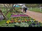 Jardins en éveil à Saint-Martin-de-Boscherville; Jardins en éveil à Saint-Martin-de-Boscherville; Jardins en éveil à Saint-Martin-de-Boscherville