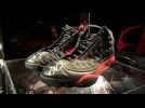 Michael Jordan's sneakers set record price at auction
