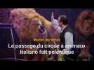 Marles-les-Mines : le passage du cirque à animaux Italiano fait polémique