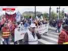 VIDÉO. Manifestation du 13 avril à Angers : une mobilisation en baisse