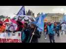 VIDÉO. Réforme des retraites : 2 100 manifestants dans l'Orne pour la 12e journée de mobilisation