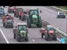Sécheresse en France : des agriculteurs manifestent contre les restrictions d'eau