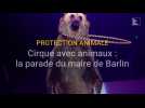 Cirque avec animaux : la parade du maire de barlin