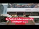 Le Festival de Cannes dévoile sa sélection 2023