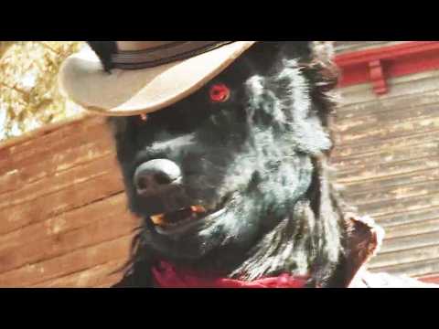 Bloody Fury - Bande annonce 1 - VO - (2023)