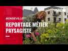 VIDÉO. Paysagiste à Caen, Catherine Aimont végétalise les environnements urbains