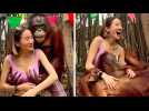 Un orang-outan tripote la poitrine d'une touriste lors d'une séance photo