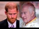 Prince Harry : son départ précipité a affecté son père... Voici la triste réaction du roi Charles...