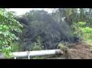 Equateur: fuite de pétrole dans la jungle amazonienne après le 