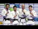 Mondiaux de judo : nouvelles médailles pour le Japon et la Géorgie