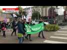 VIDÉO. Manifestation pour le droit à l'avortement à Saint-Brieuc