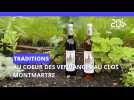 Au Clos Montmarte, des vendanges pour préparer la nouvelle cuvée de vin parisienne
