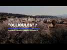 Pourquoi Ollioules s'appelle Ollioules ?