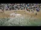 Swimmers return to Rio de Janeiro's beaches thanks to successful clean up operation