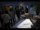 Les animaux fantastiques débarquent au Louvre-Lens