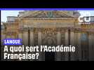 A quoi sert l'Académie Française?